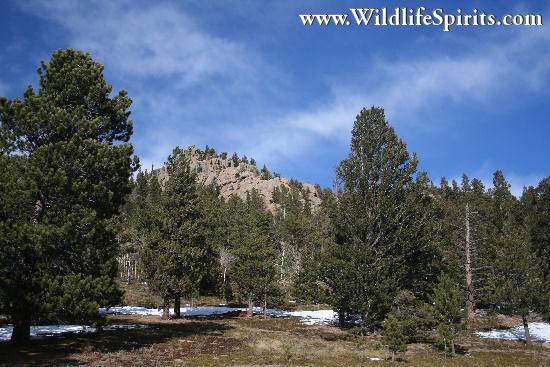 Click Picture to send as an  E-PostCard 57k 550x367